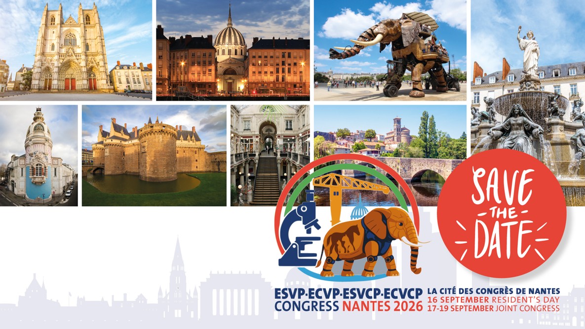 ECVP Congress Nantes 2026