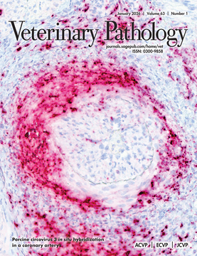 VetPath cover January 2026