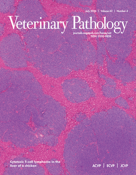 VetPath cover July 2026