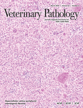 VetPath cover March 2026