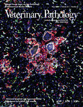 VetPath cover May 2026