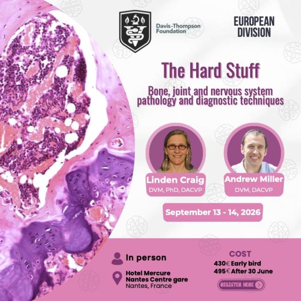 2026 European division symposium
