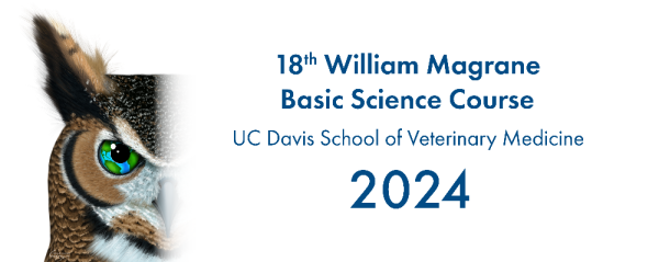 Basic Science Course 2024