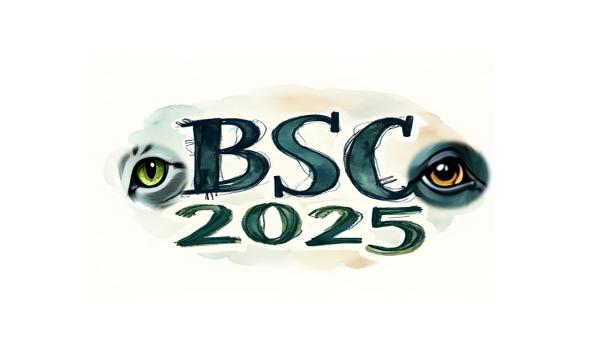 BSC logo 2025