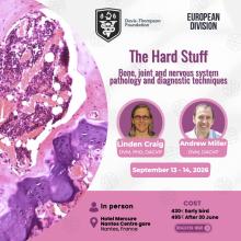 2026 European division symposium
