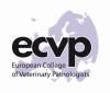 ecvp logo